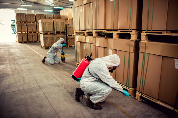Best Best Pest Control Companies  in Bound Brook, NJ