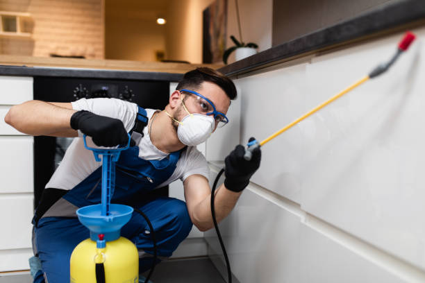 Best Pest Control Cost  in Bound Brook, NJ