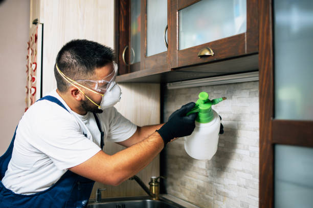 Wildlife Control Services in Bound Brook, NJ