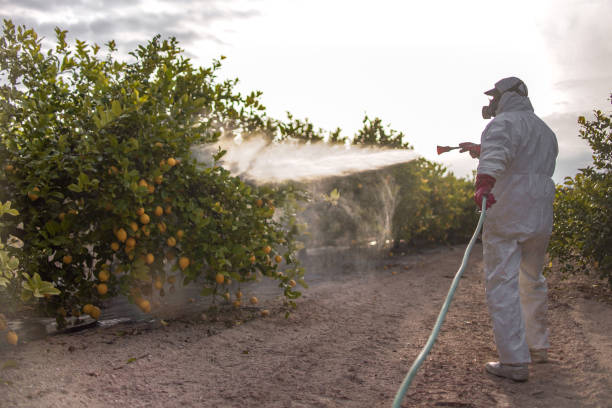 Trusted Bound Brook, NJ Pest Control Experts