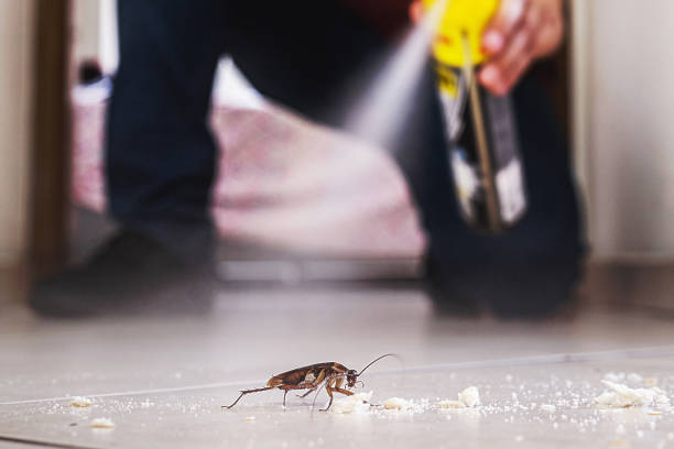 Best Mosquito Control Services  in Bound Brook, NJ