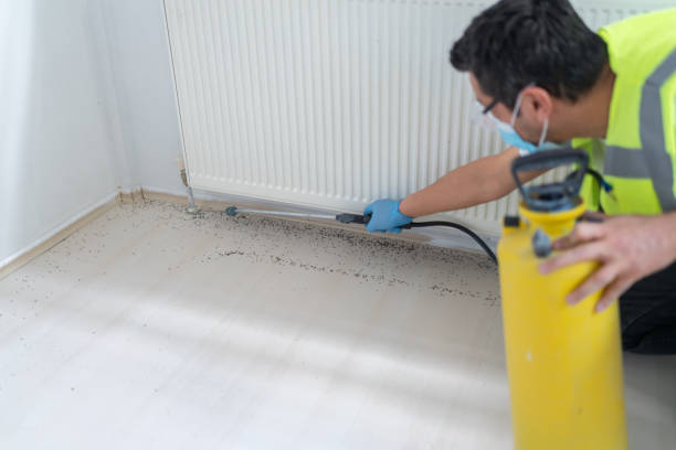 Best Exterminator Services  in Bound Brook, NJ